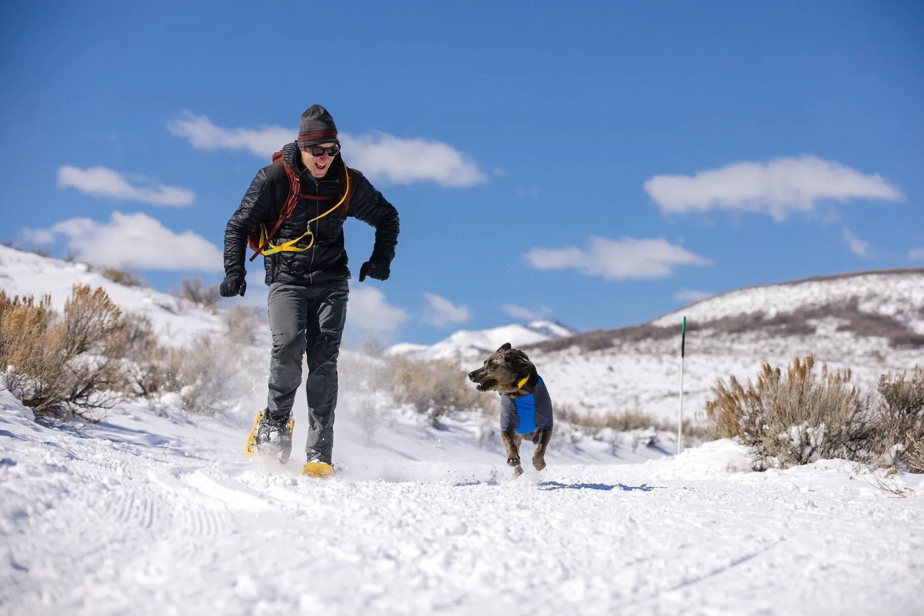 Ruffwear Powder Hound - Orange Small (Customer Return)