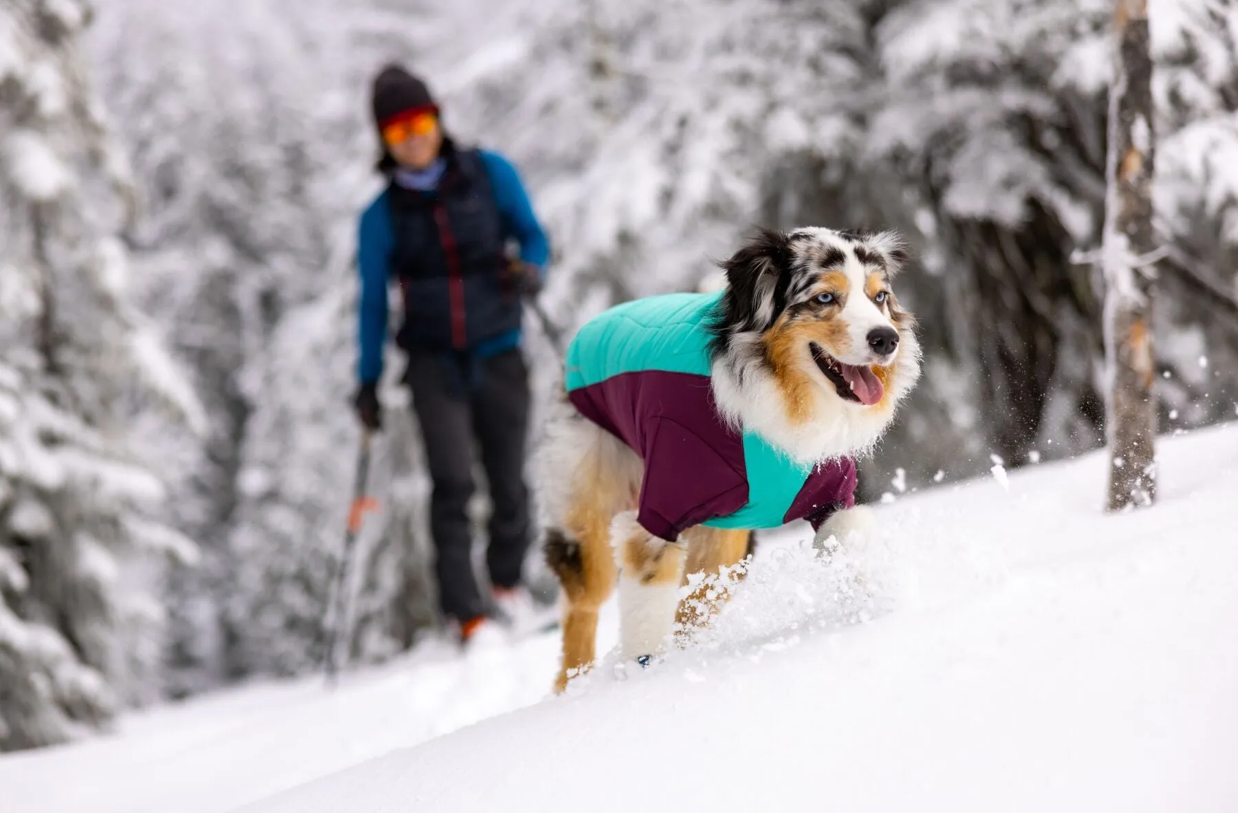 Ruffwear Powder Hound - Orange Small (Customer Return)