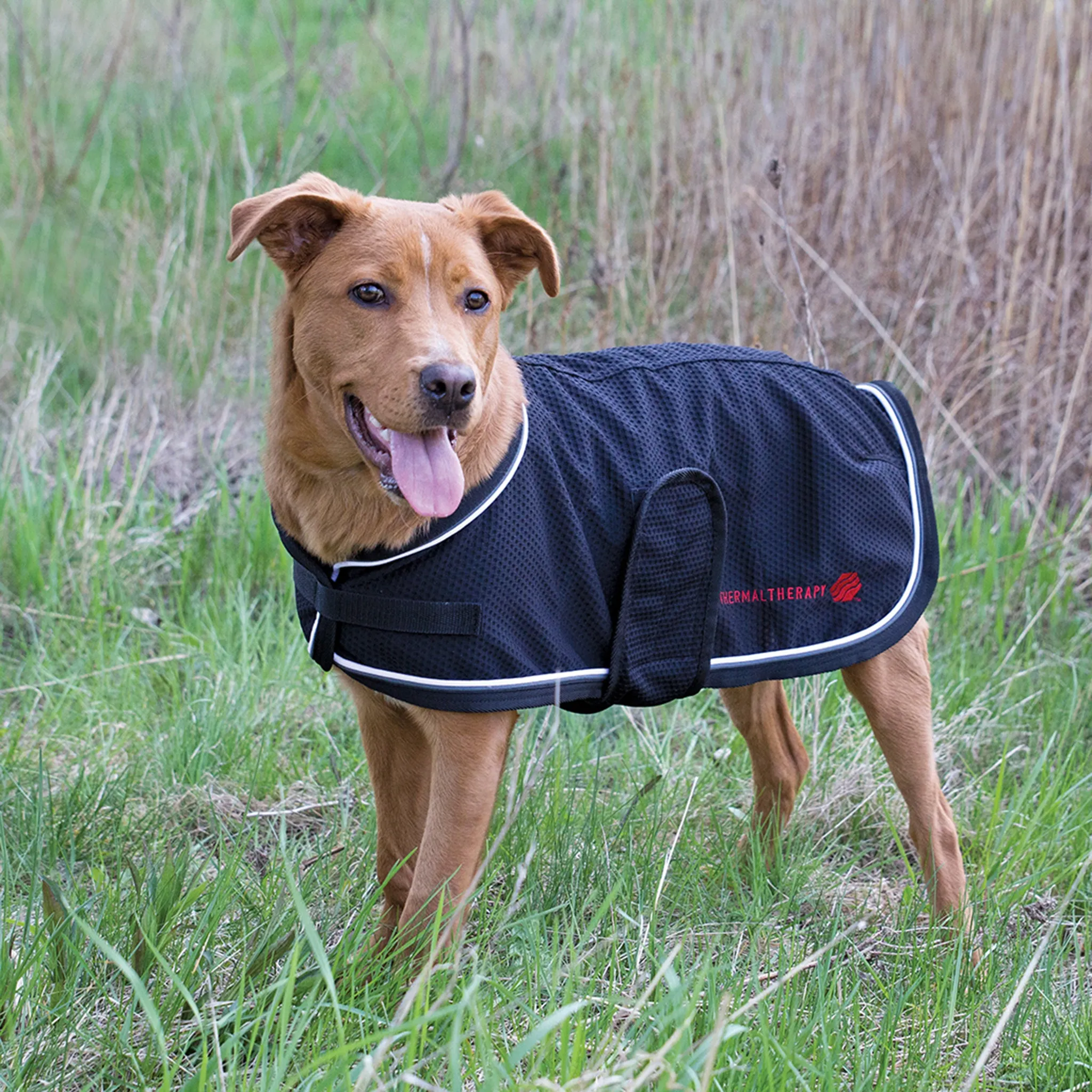 Thermal Therapy Mesh Dog Coat