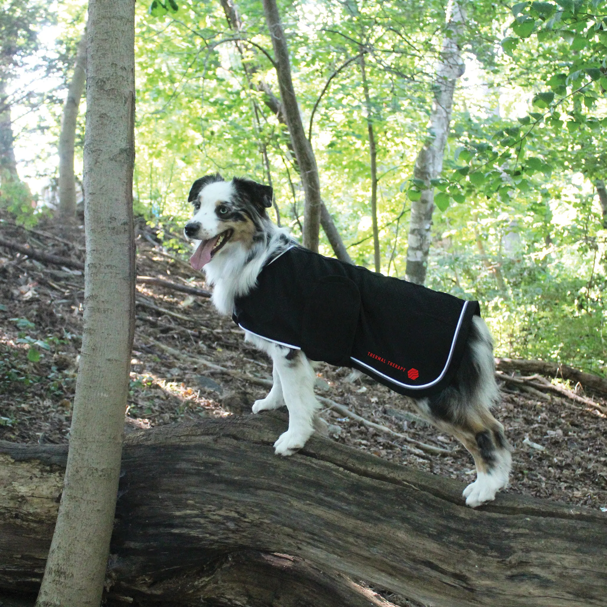 Thermal Therapy Mesh Dog Coat